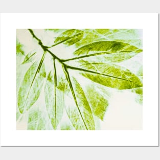 Nature Eco Leaf Print Posters and Art